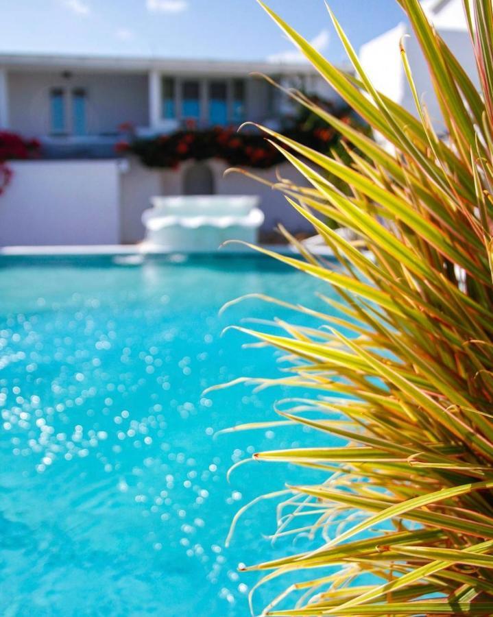 Trade Winds Hotel Dickenson Bay Extérieur photo