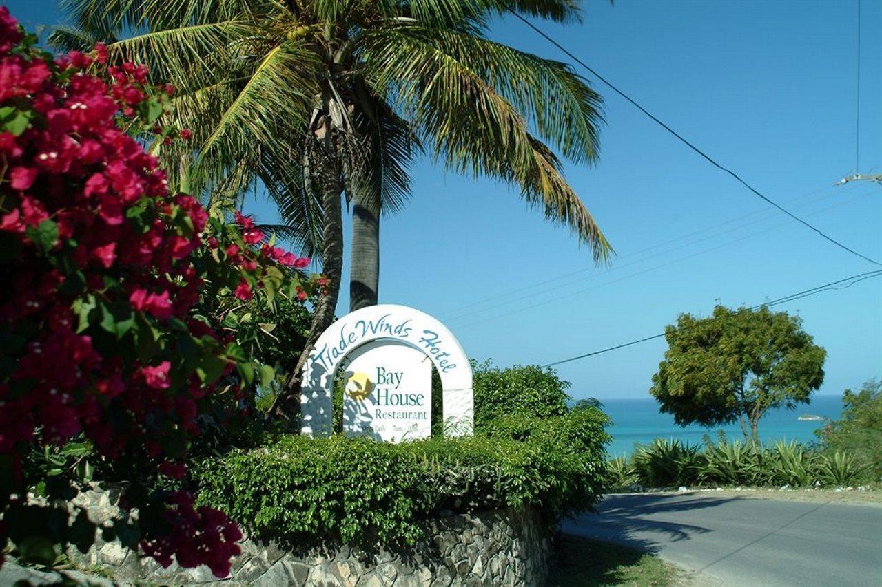 Trade Winds Hotel Dickenson Bay Extérieur photo
