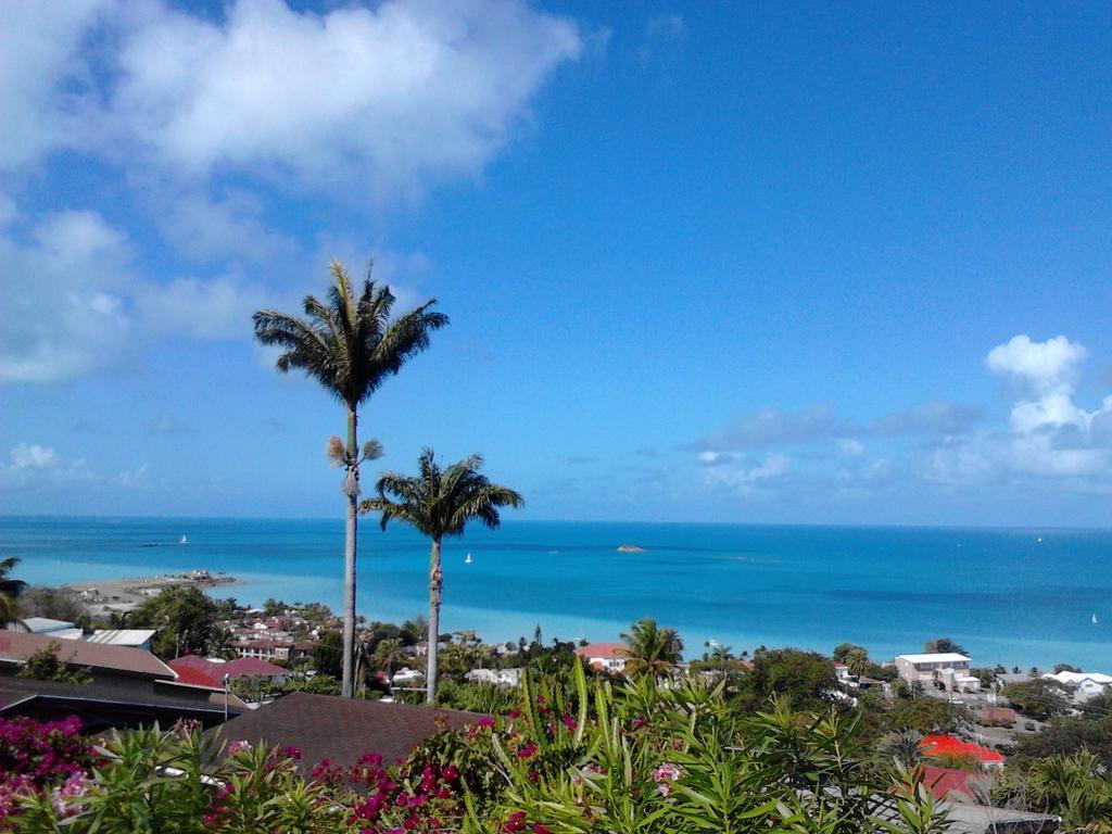 Trade Winds Hotel Dickenson Bay Extérieur photo