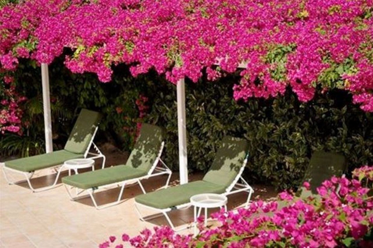 Trade Winds Hotel Dickenson Bay Extérieur photo