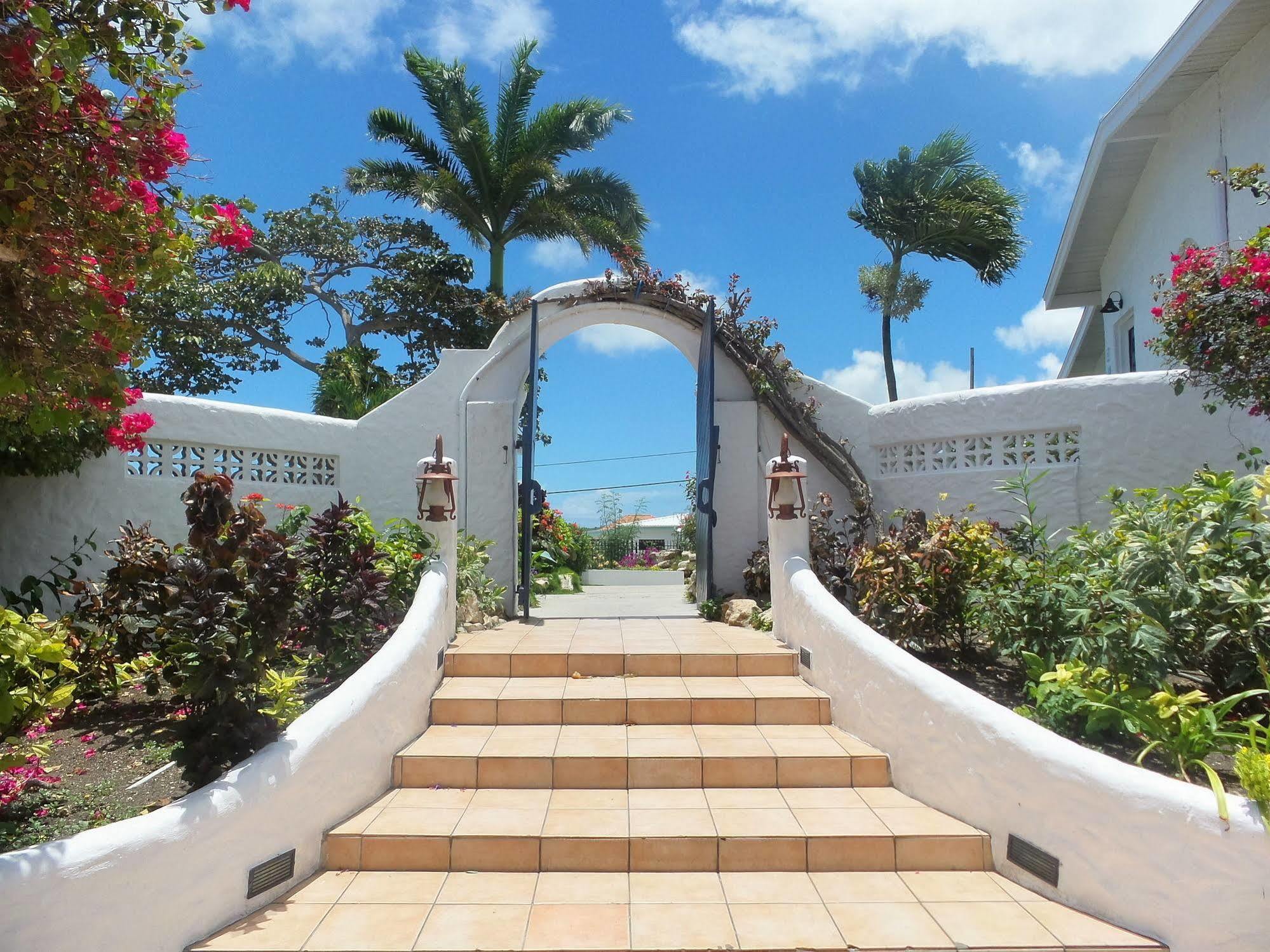 Trade Winds Hotel Dickenson Bay Extérieur photo