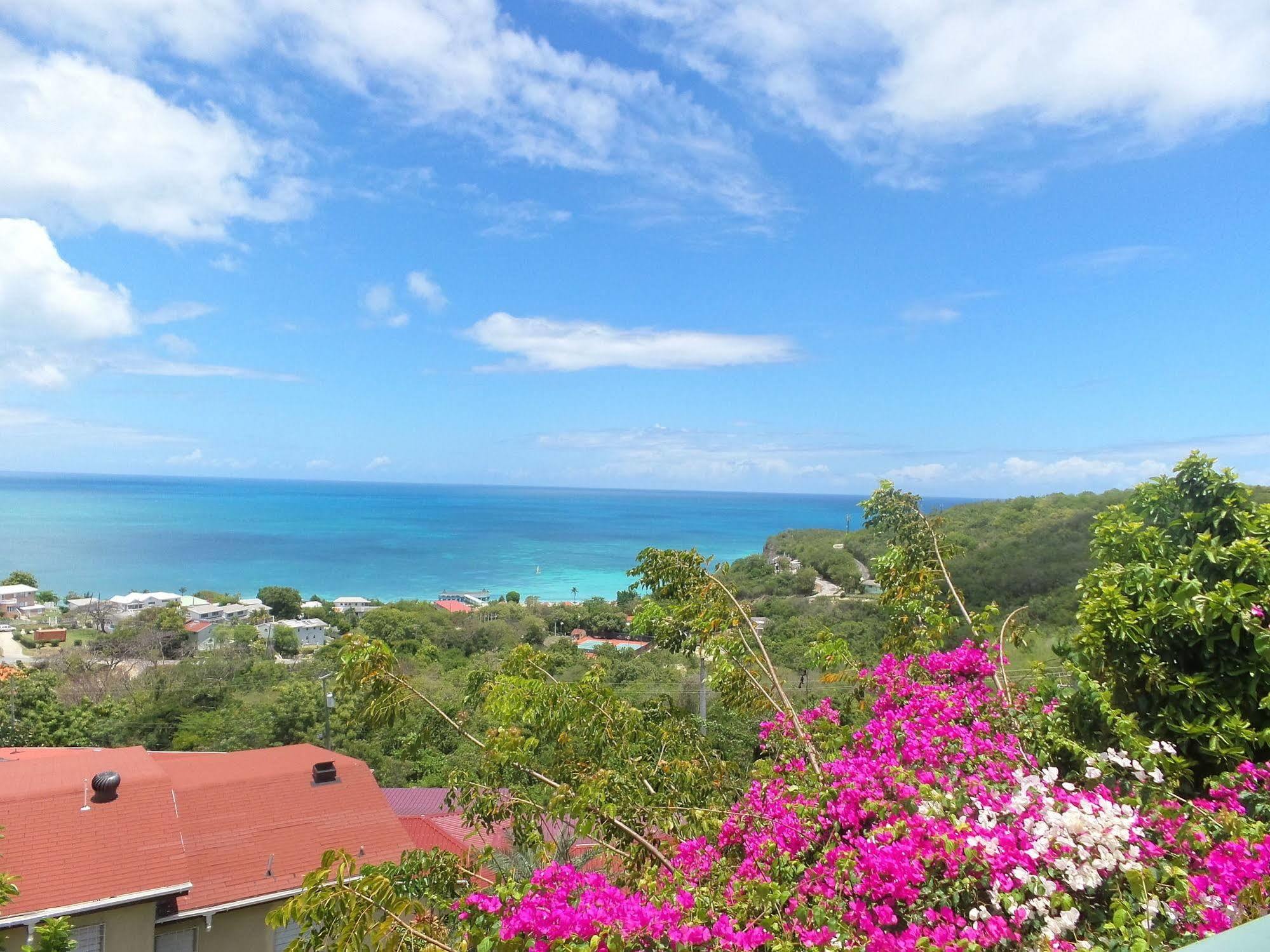 Trade Winds Hotel Dickenson Bay Extérieur photo